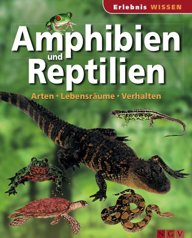Amphibien und Reptilien