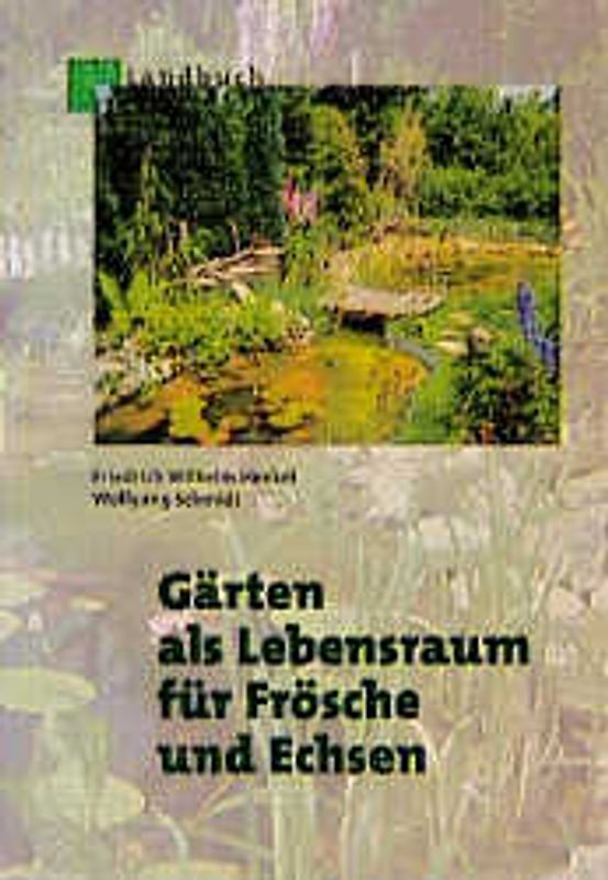 Gärten als Lebensraum für Frösche und Echsen