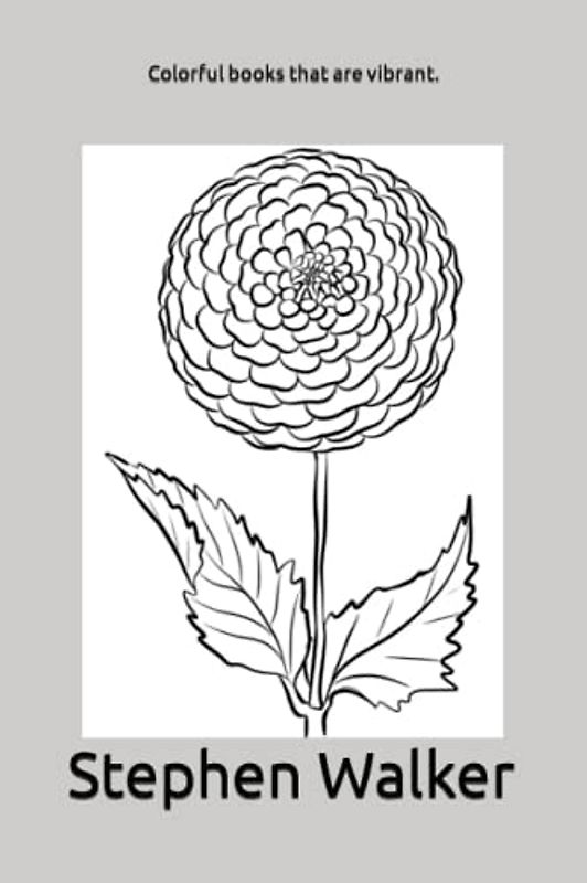 Colorful books that are vibrant.