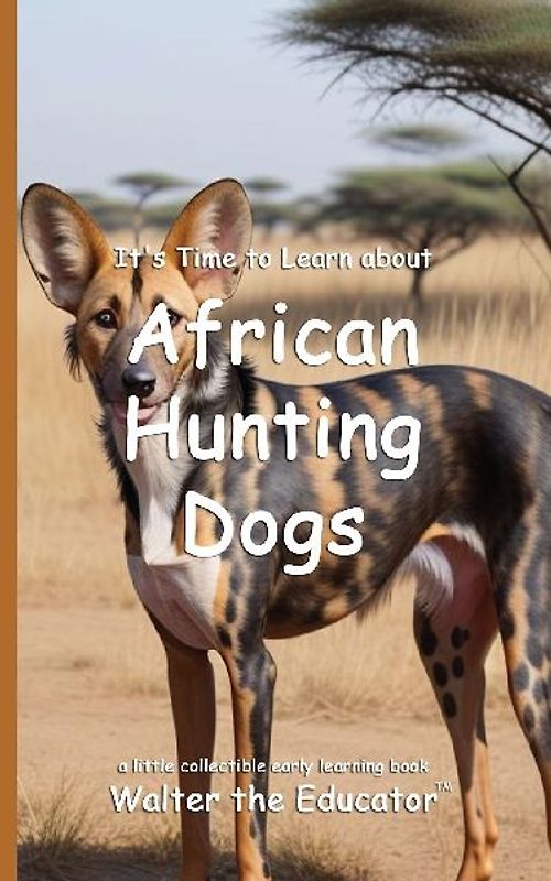 It's Time to Learn about African Hunting Dogs