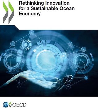 Rethinking Innovation for a Sustainable Ocean Economy