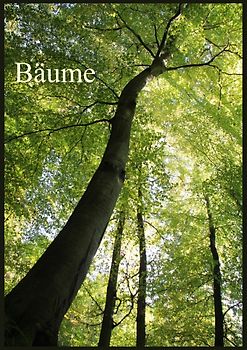 Bäume (Posterbuch DIN A3 hoch)