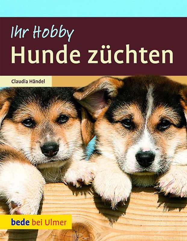 Hunde züchten
