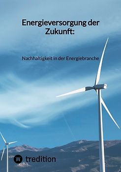 Energieversorgung der Zukunft: Nachhaltigkeit in der Energiebranche