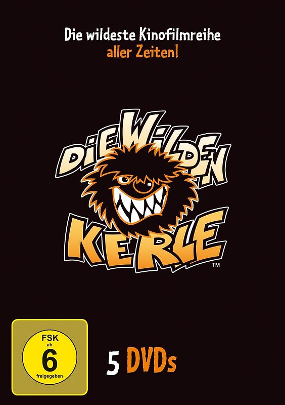 Die Wilden Kerle 1-5 Sammelbox DVD