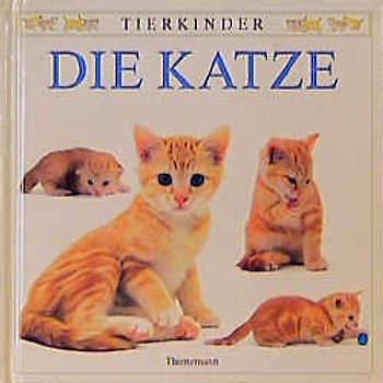 Die Katze