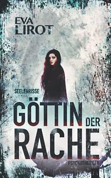 Seelenrisse (Jim Devcon Serie, Band 8)