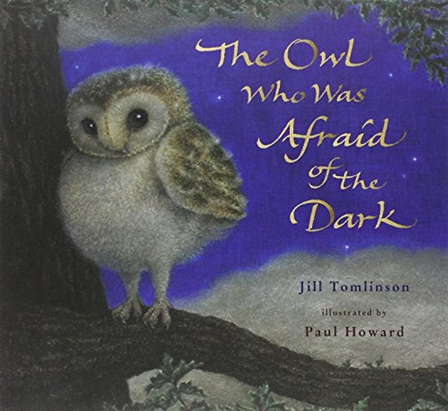 Owl Who Was Afraid of the Dark - Tomlinson, Jill