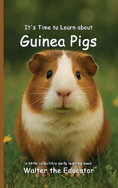It's Time to Learn about Guinea Pigs
