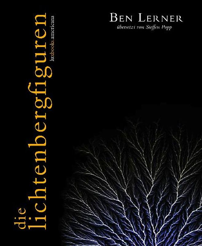 Die Lichtenbergfiguren