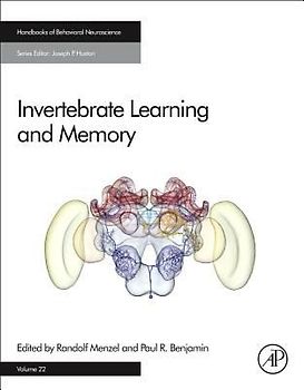 Invertebrate Learning and Memory