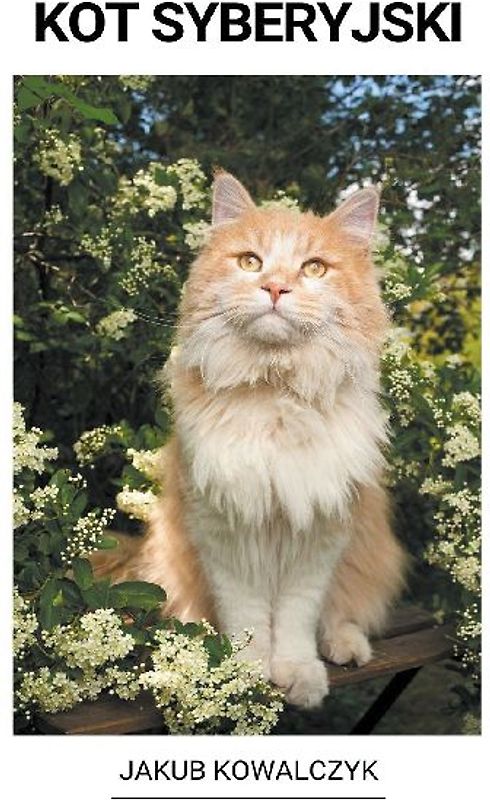 Kot Syberyjski