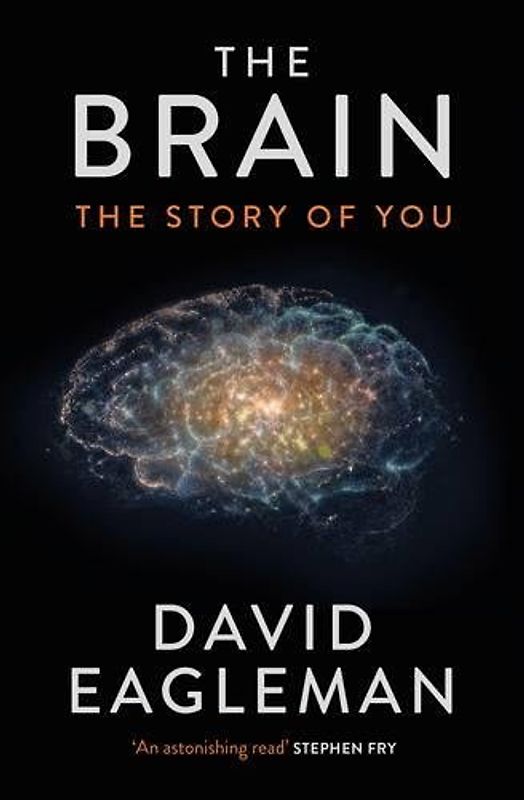 The Brain - The Story of You - David Eagleman [Hardcover]
