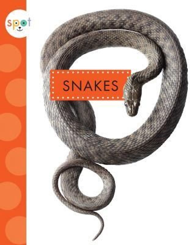 Snakes