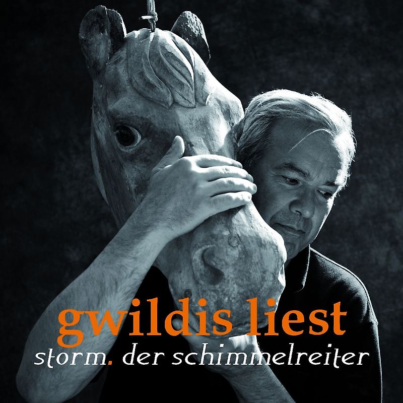 Gwildis,Stefan - Gwildis Liest-Der Schimmelreiter [Audio CD]