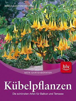 Kübelpflanzen