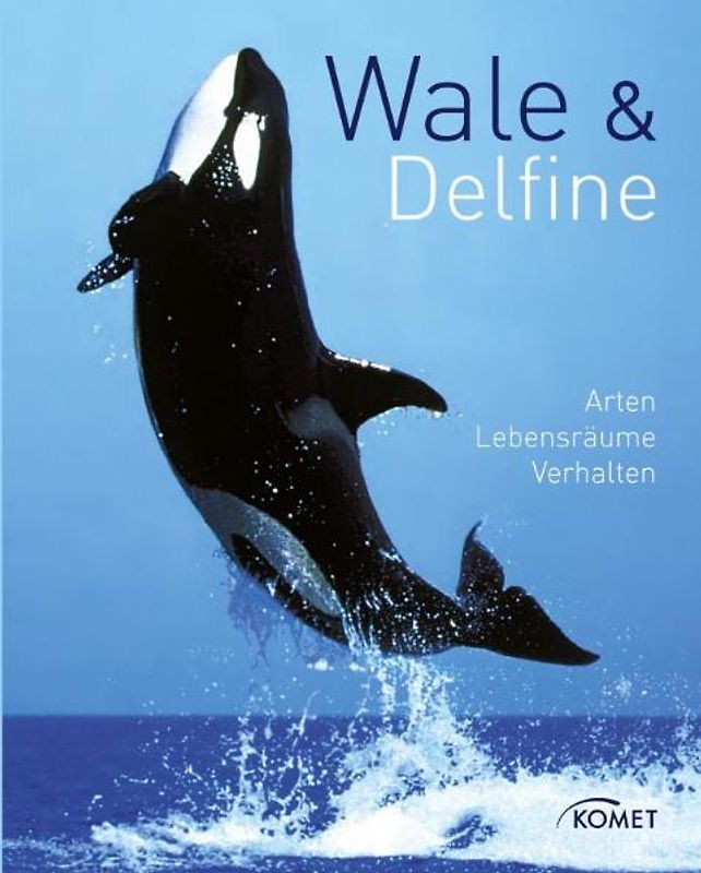 Wale & Delfine