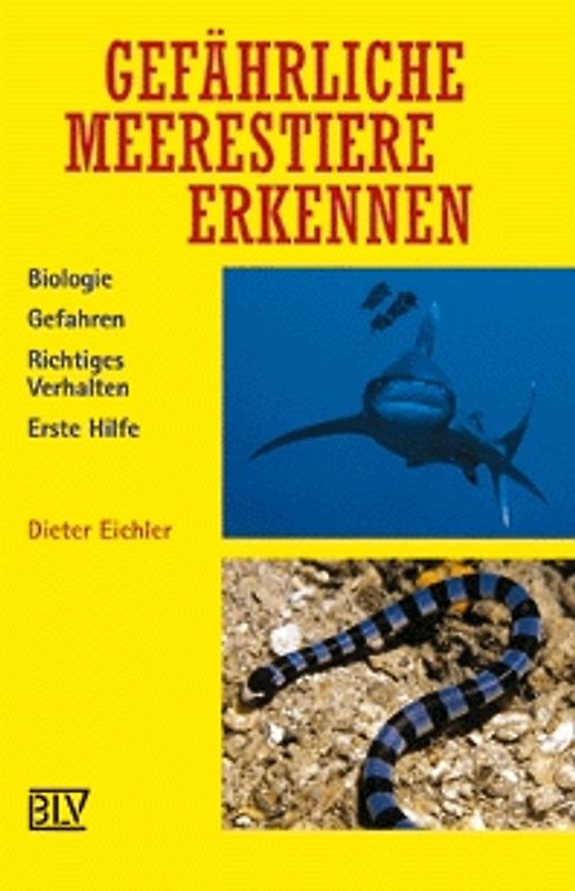 Gefährliche Meerestiere erkennen