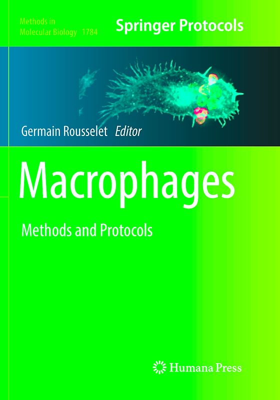 Macrophages