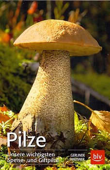 Pilze