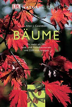Bäume