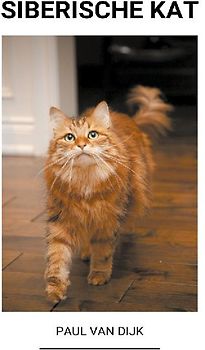 Siberische kat