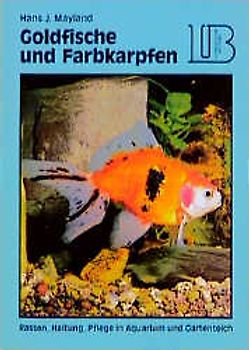 Goldfische und Farbkarpfen