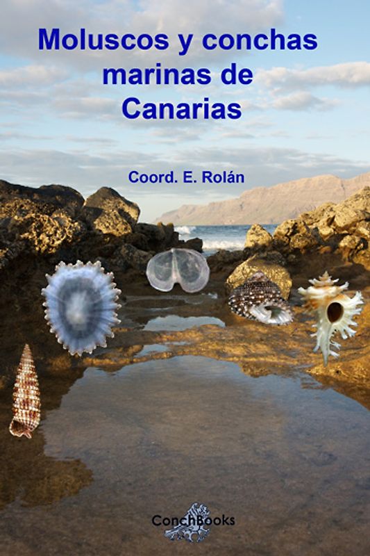 Moluscos y conchas marinas de Canarias