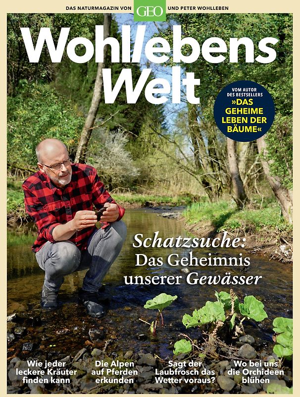 Wohllebens Welt / Wohllebens Welt 6/2020 - Schatzsuche: Das Geheimnis unserer Gewässer