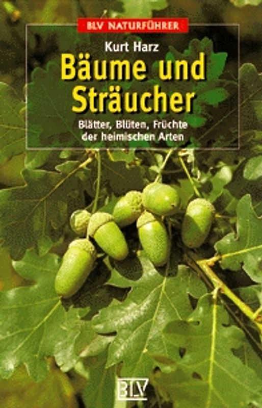 Bäume und Sträucher