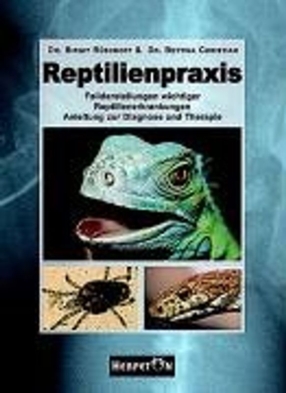 Reptilienpraxis