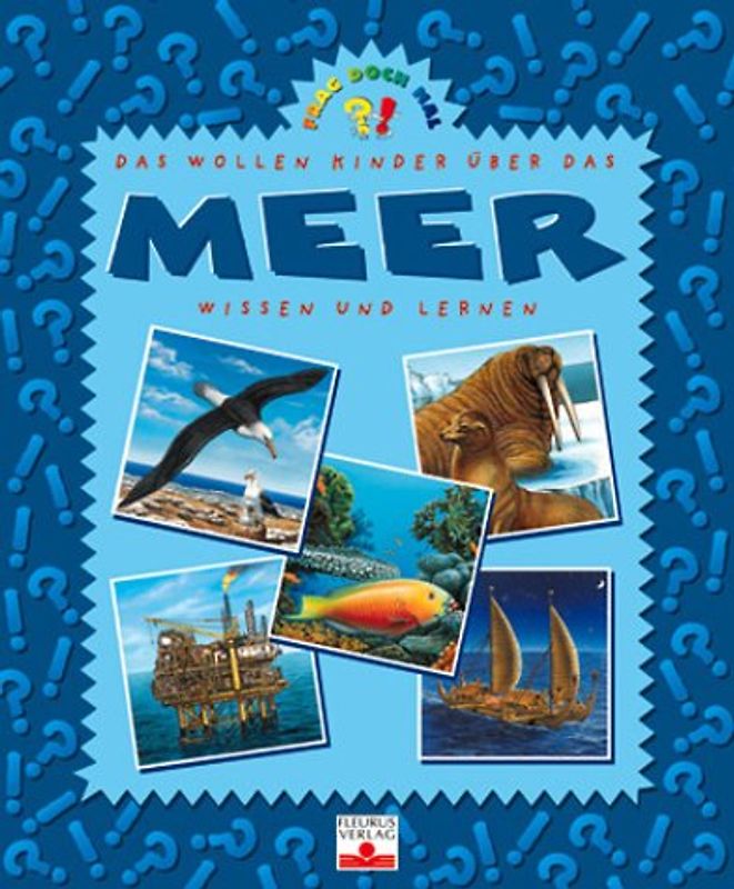 Meer
