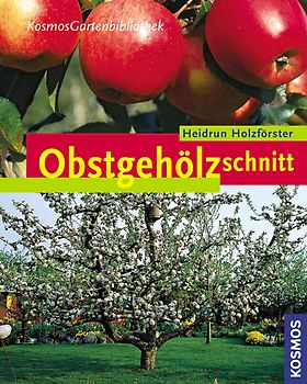 Obstgehölzschnitt