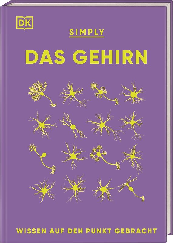 SIMPLY. Das Gehirn