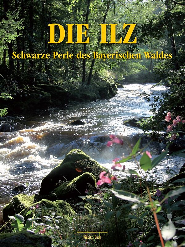 Die Ilz - Schwarze Perle des Bayerischen Waldes