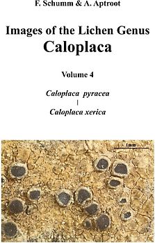 Images of the Lichen Genus Caloplaca, Vol4