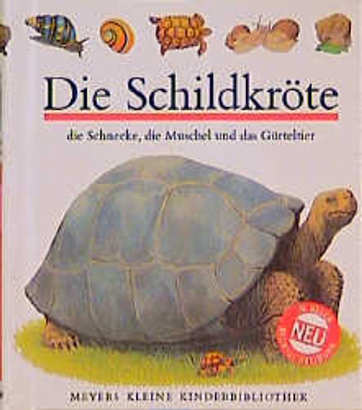Die Schildkröte