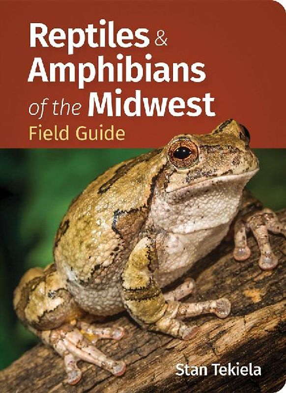 Reptiles & Amphibians of the Midwest Field Guide