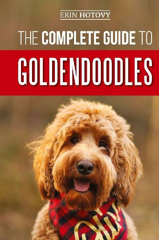 The Complete Guide to Goldendoodles