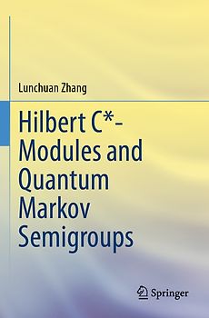 Hilbert C*- Modules and Quantum Markov Semigroups