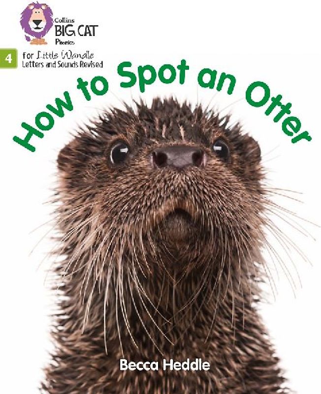 Big Cat Phonics for Little Wandle Letters and Sounds Revised - How to Spot an Otter