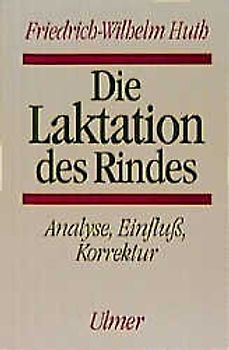 Laktation des Rindes