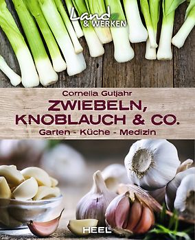 Zwiebeln, Knoblauch & Co. - Garten - Küche - Medizin