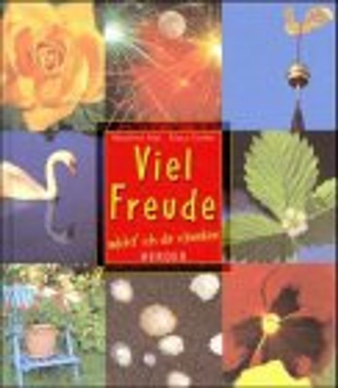 Viel Freude möcht' ich dir schenken