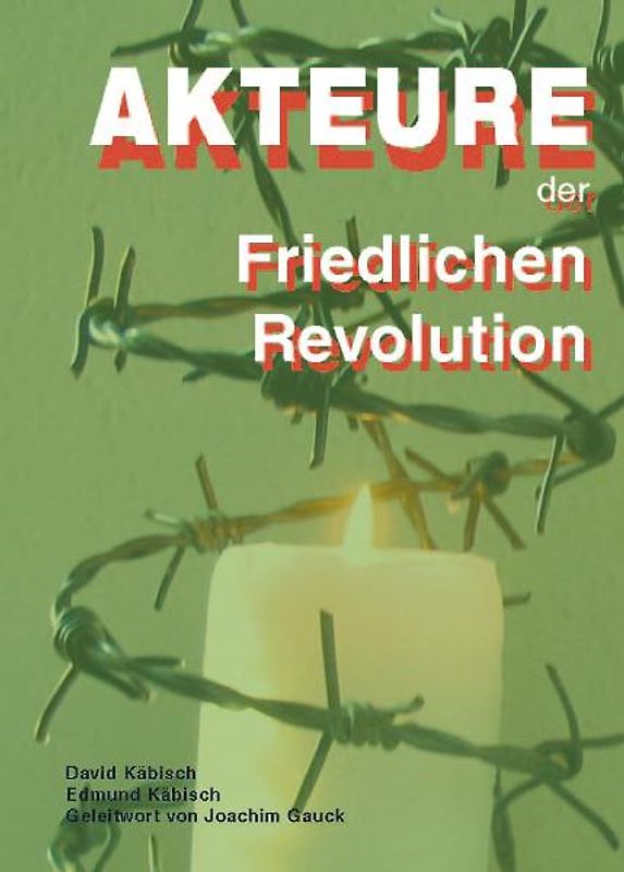 Akteure der Friedlichen Revolution. Didaktische Impulse und Materialien für den Geschichts-, Ethik- und Religionsunterricht aus der Region Zwickau