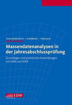 Massendatenanalysen in der Jahresabschlussprüfung