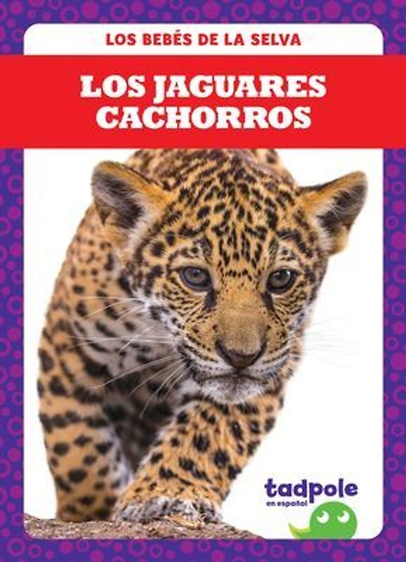 Los Jaguares Cachorros (Jaguar Cubs)