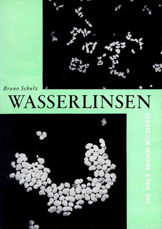 Wasserlinsen