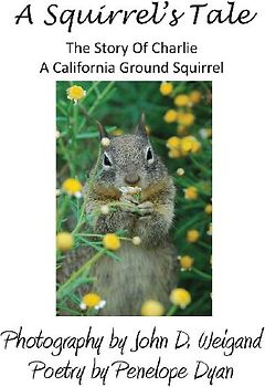 A Squirrel's tale, The Story Of Charlie, A California Ground Squirrel
