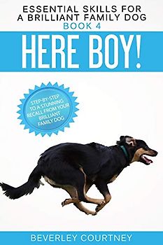Here Boy!: Step-by-Step to a Stunning Recall from your Brilliant Family Dog (Essential Skills for a Brilliant Family Dog, Band 4)